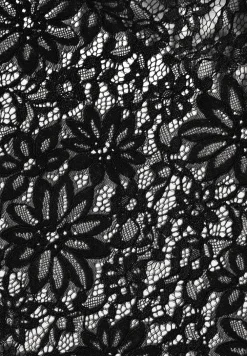 Boxy Lace Revere Shirt