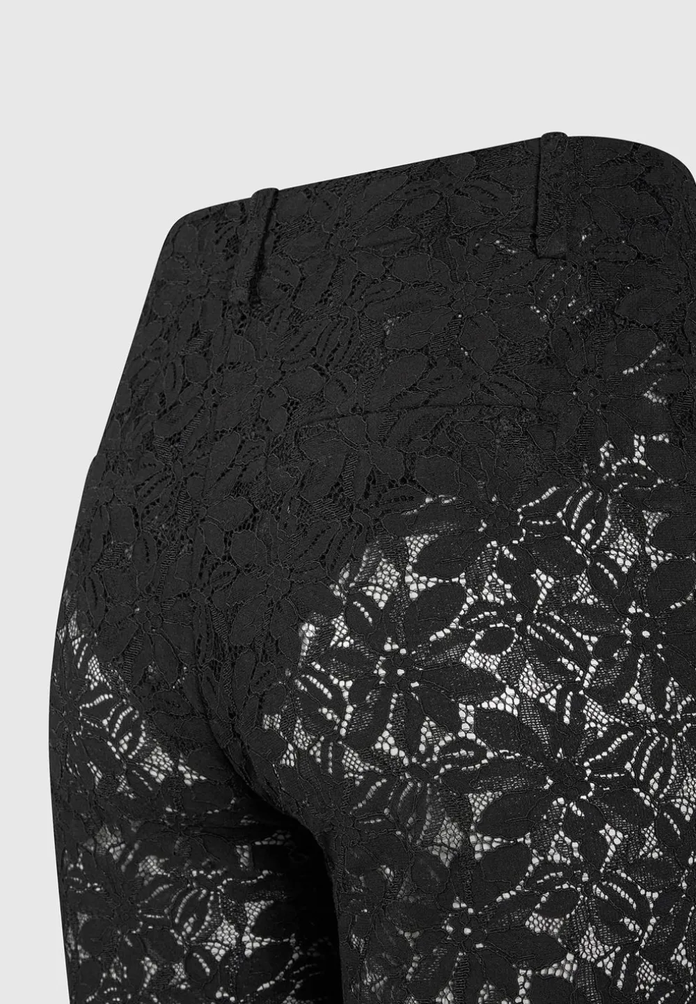 Lace Fit And Flare Trousers