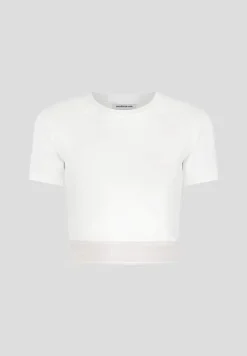 Mdv Banded Crop T Shirt