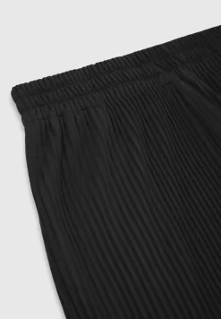 Pleated Trousers