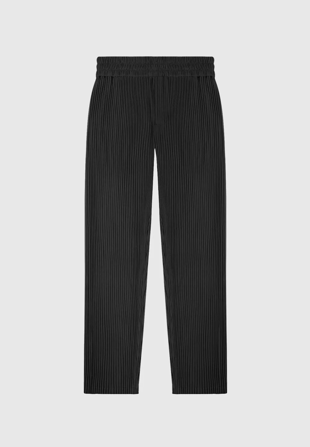 Pleated Trousers