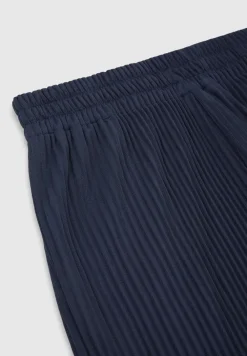 Pleated Trousers