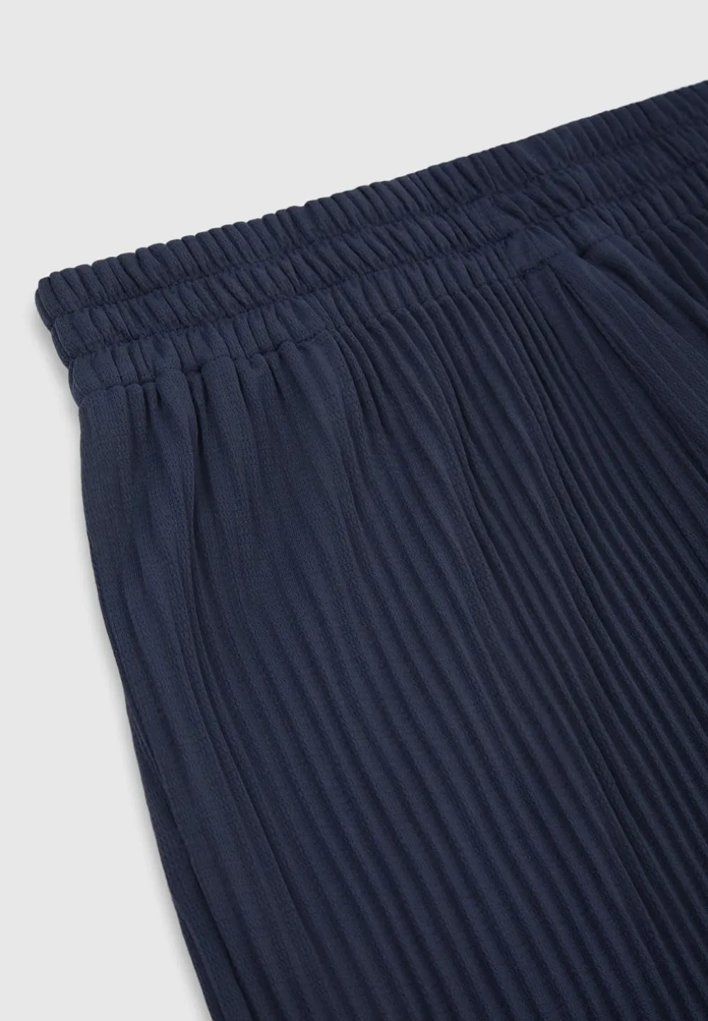 Pleated Trousers